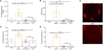 DC Subsets Regulate Humoral Immune Responses by Supporting the Differentiation of Distinct Tfh Cells